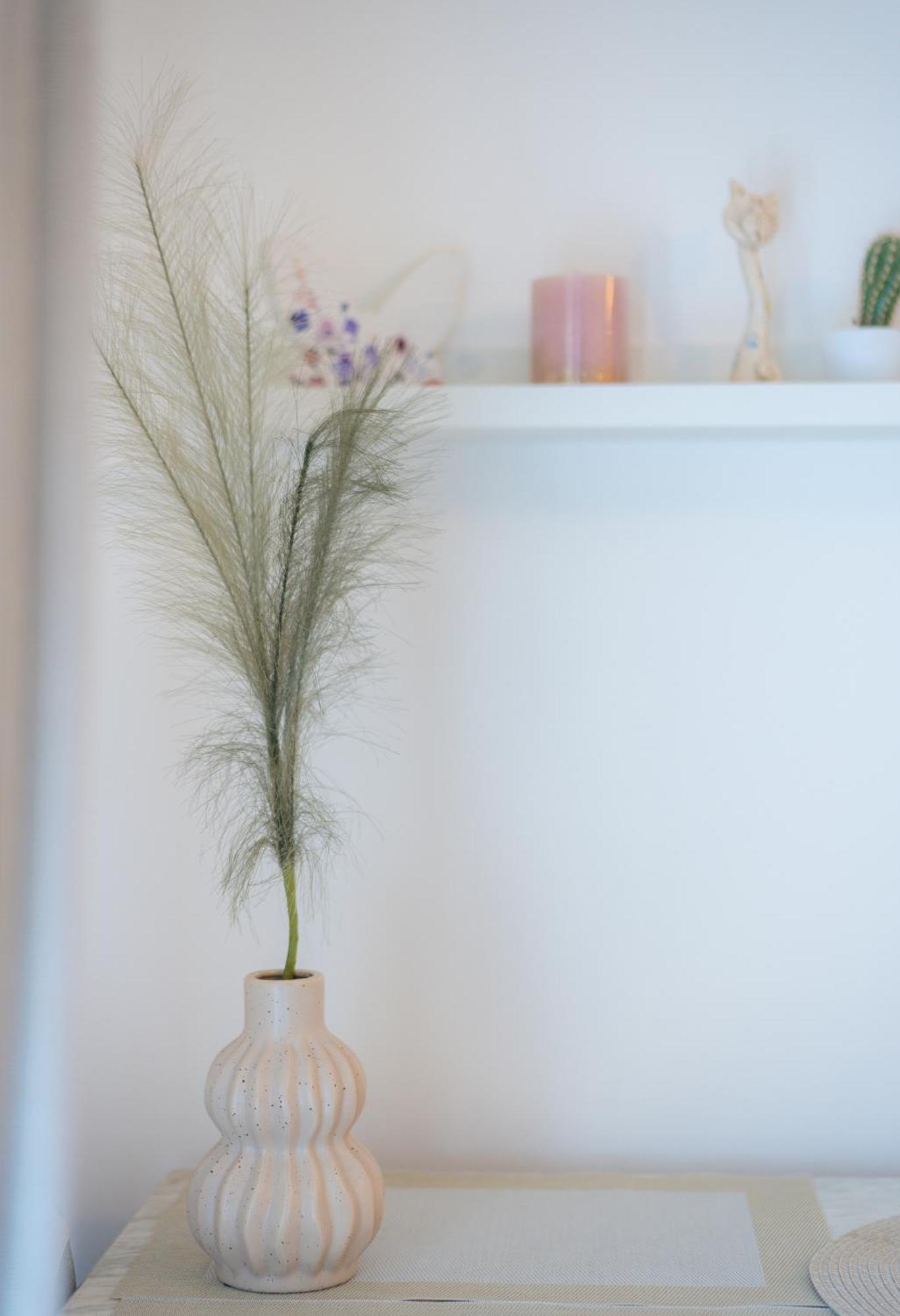 Studio Apartman Providenca スプリト エクステリア 写真